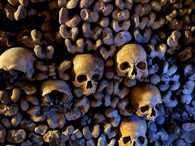 Multiple skulls embedded in a dense arrangement of bones in the Paris Catacombs.
