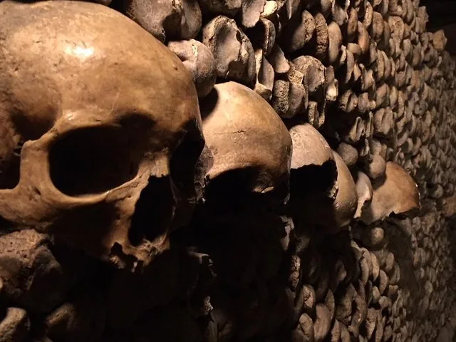 A close-up view of several skulls lined up among stacked bones in a dark tunnel.
