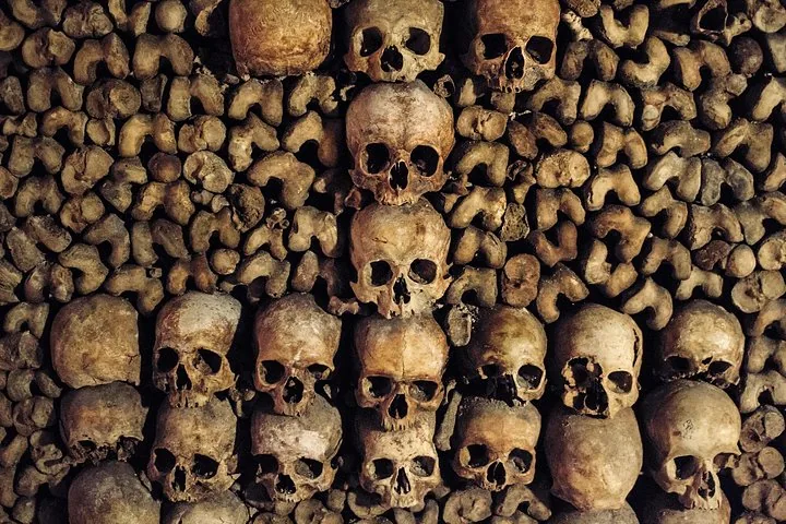 File di teschi e ossa compattati insieme a formare un muro nelle Catacombe.